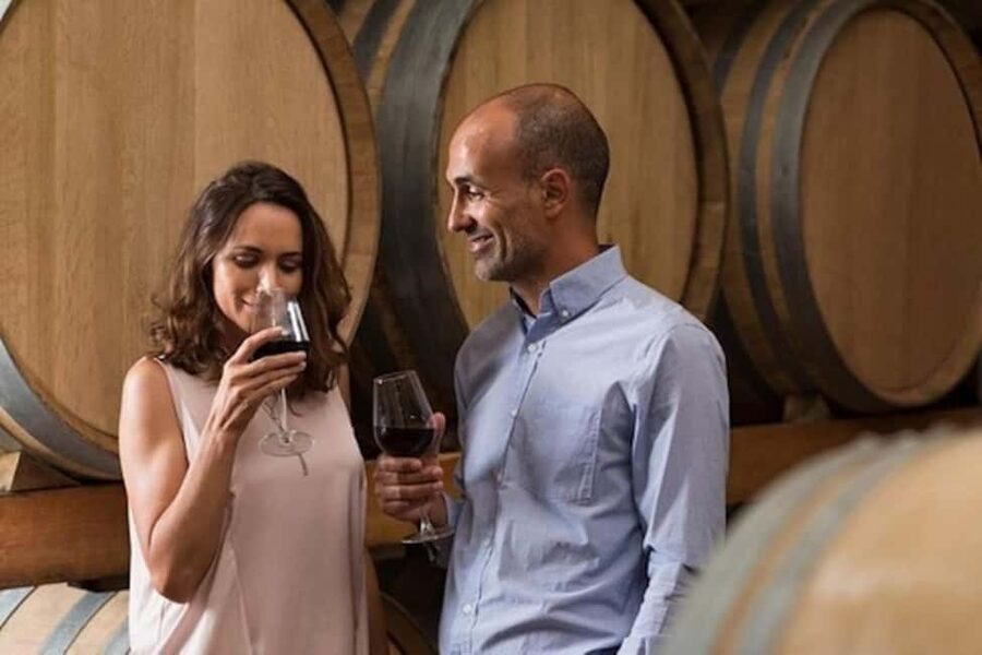 SF: Napa & Sonoma Wine Tour & Hop-on Hop-off Tour (Save 15%) - Returning to San Francisco and using the city ticket