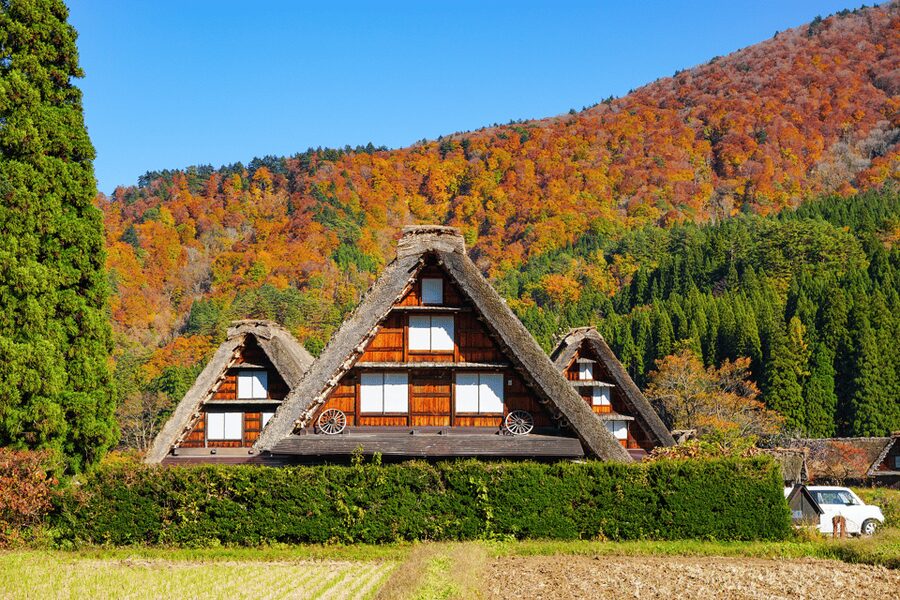 Shirakawago and Takayama 1 Day Bus Tour from Nagoya - Lunch and the case for Hida beef