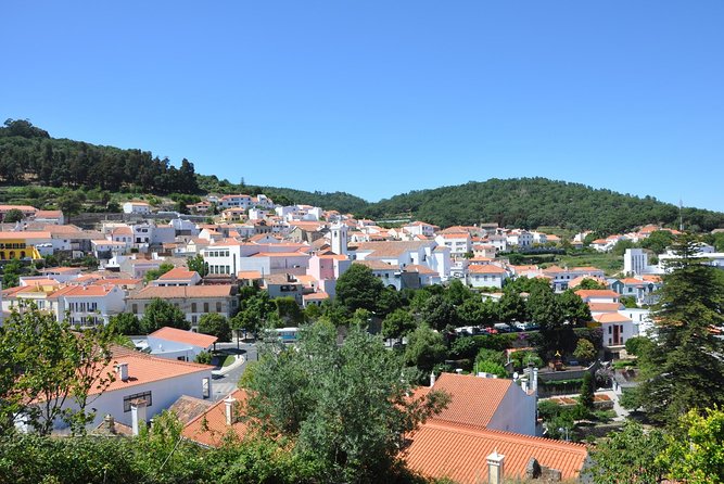 Silves and Monchique Full Day Bus Tour - Guides, transport, and the pace of the day