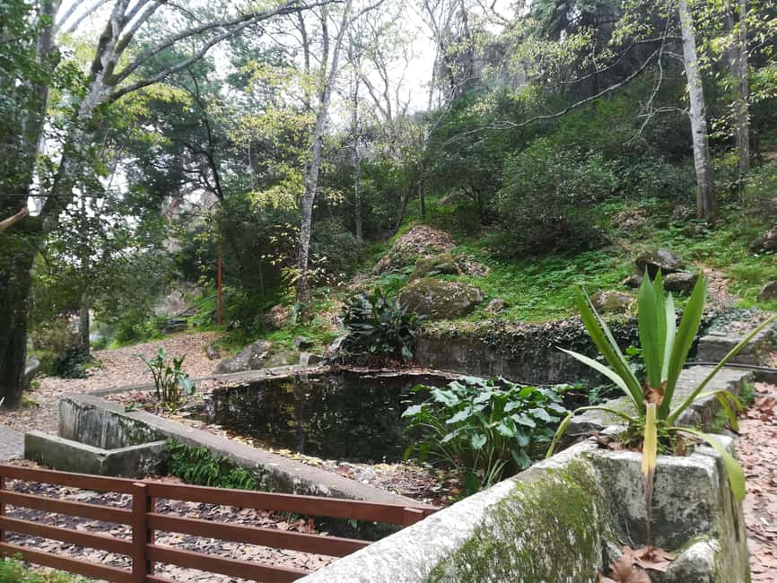 Silves and Monchique Mountain: Guided Bus Tour - Is $53 a fair price?