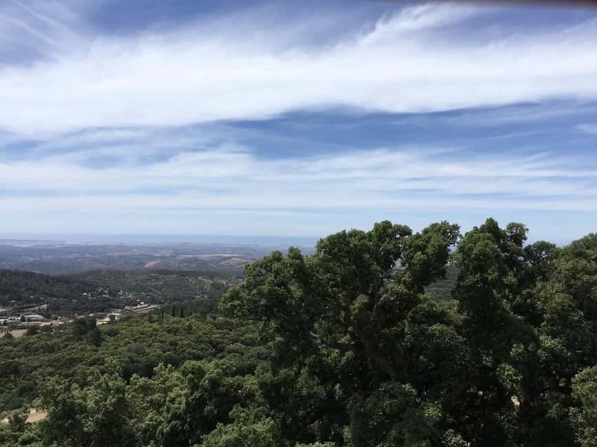 Silves and Monchique Mountain: Guided Bus Tour - Who should book this Algarve day trip?