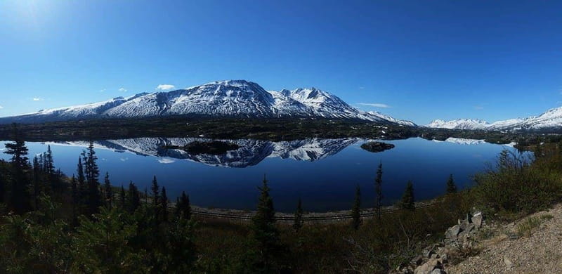 Skagway: Klondike Highway & Yukon Bus Tour with Husky Kennel - Practical advice before you book