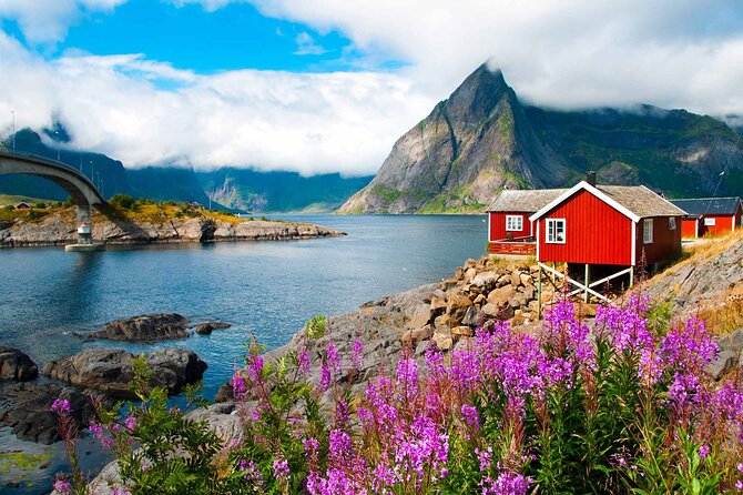 Special Summer Cruise Bus Tour of Lofoten - The cruise-port timing deserves attention