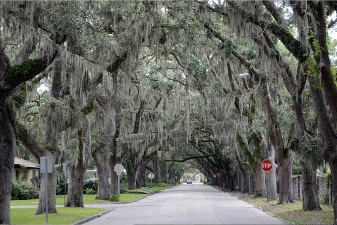 St. Augustine Hop-On Hop-Off Trolley Tour - Timing, comfort, and useful practical details