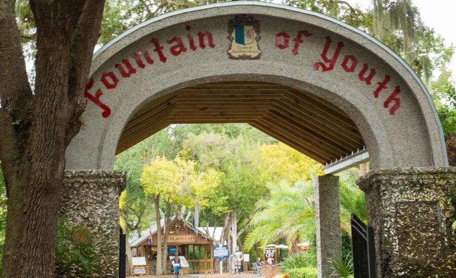 St. Augustine: Hop-on Hop-off Trolley Tour with Museum Entry - What the St. Augustine trolley experience is really like