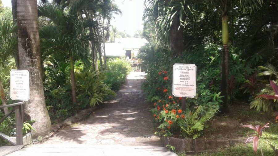 St. Kitts Island Half-Day Bus Tour - How the bus tour format affects the day