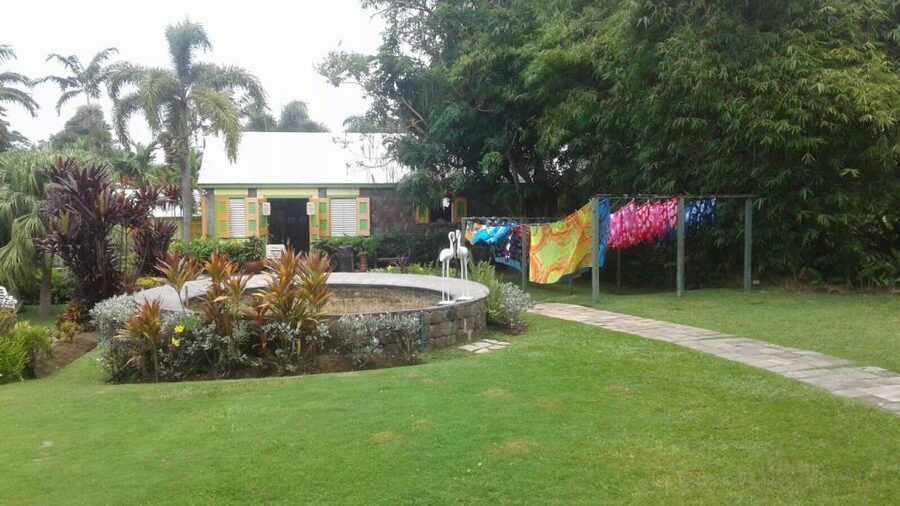 St. Kitts Island Half-Day Bus Tour - Comfort, language, and access