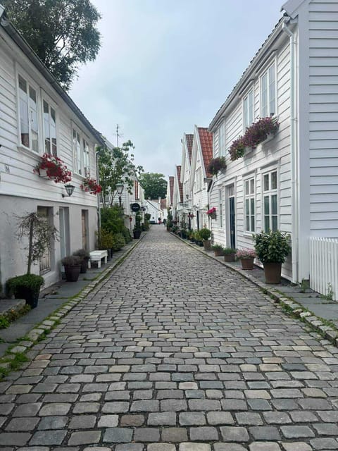 Stavanger: City Highlights Bus and Walking Tour - Valbergtårnet and the city from above