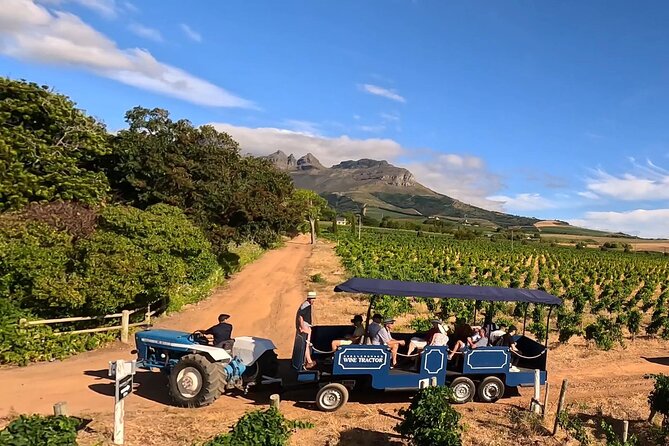 Stellenbosch Wine Tractor hop-on-hop off wine tasting tour - Quick points before you book