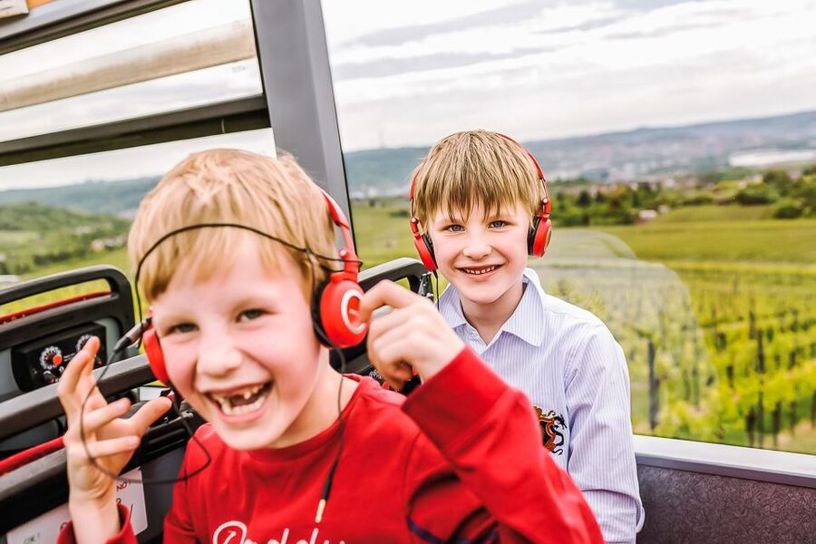 Stuttgart 24-Hour Hop-On Hop-Off Sightseeing Bus Tour - The Blue Tour, 100 minutes through Stuttgart’s wider city