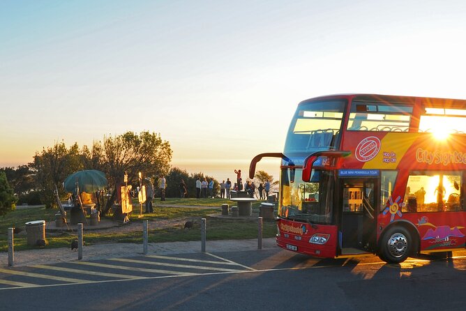 Summer Sunset Bus Tour in Cape Town - Why this sunset trip works well in Cape Town