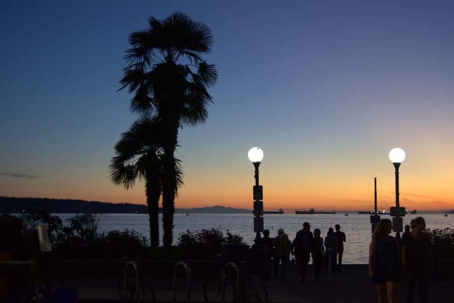 Sunset Bus Tour: Stanley Park & English Bay Photostops - Stanley Park from the moving bus