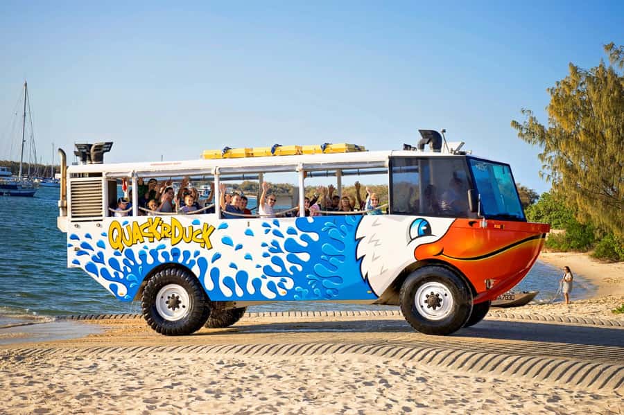 Surfers Paradise: Guided Gold Coast Amphibious Bus Tour - Watching for wildlife along the water