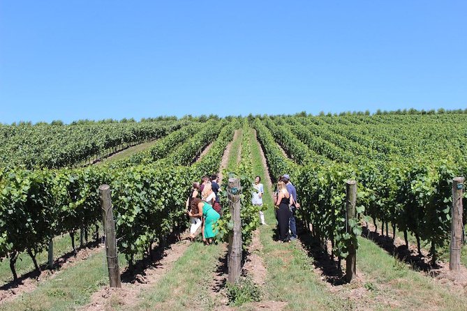 Sussex Vineyard & Winery Bus Tour on Iconic Vintage London Bus - How much wine and how long are the talks?