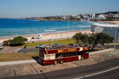 Big Bus Hop-On Hop-Off Tour with Optional Cruise