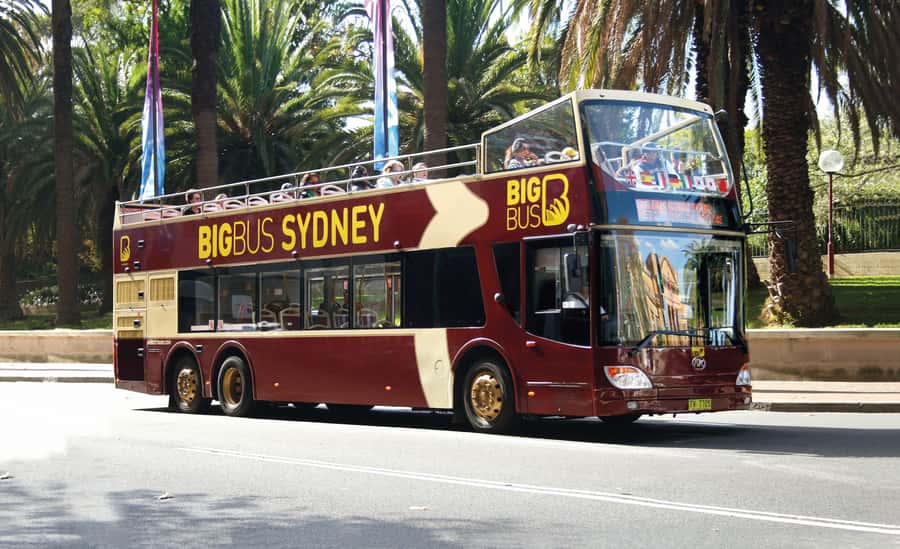 Sydney: Big Bus Hop-On Hop-Off Tour with Optional Cruise - Royal Botanic Gardens and Sydney’s open spaces