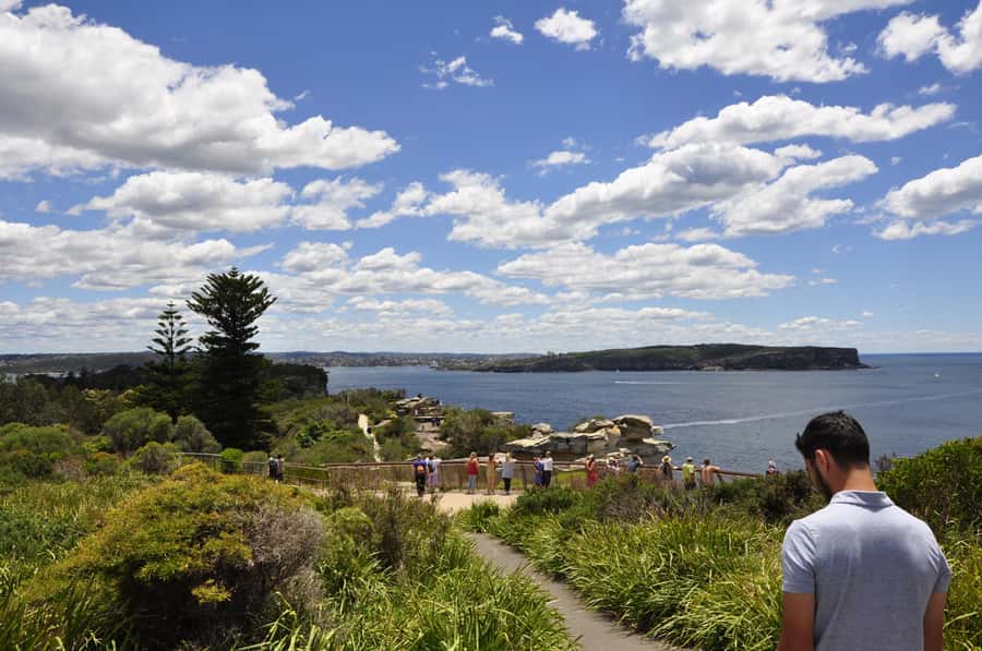 Sydney: City Highlights Guided Bus Tour - The Gap and Watsons Bay bring the strongest coastal views