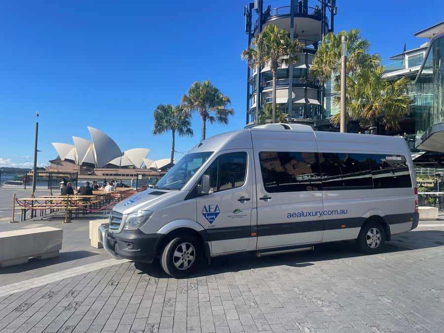 Sydney: Morning Sightseeing Bus to Bondi with Lunch Cruise - The bus is small, comfortable and useful
