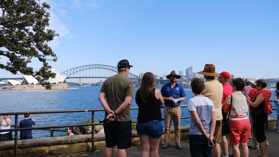 Sydney: Morning Sightseeing Bus to Bondi with Lunch Cruise - Lunch on Sydney Harbour