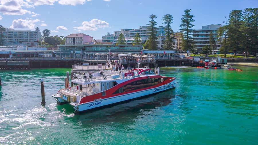 Sydney: Whale Watching & Hop On Hop Off Cruise Package - Choosing the best month for whales