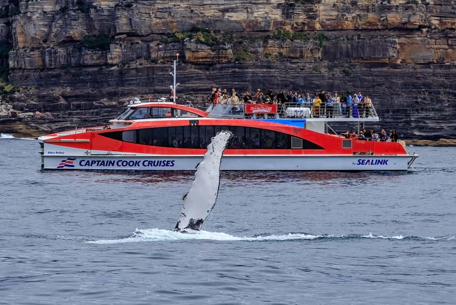 Sydney: Whale Watching & Hop On Hop Off Cruise Package - Weather, cancellations, and practical planning