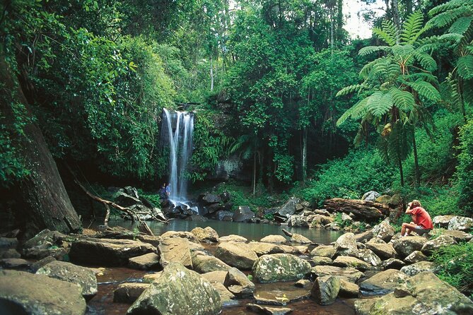 Tamborine Mountain - Hop On Hop Off - From Brisbane - Key points to know before booking