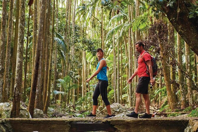 Tamborine Mountain - Hop On Hop Off - From Brisbane - From Brisbane to the Scenic Rim