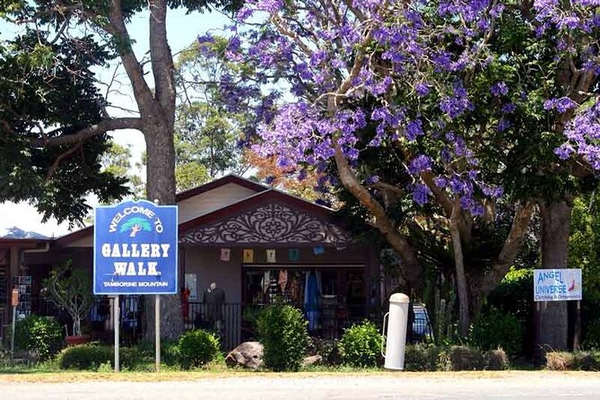 Tamborine Mountain - Hop On Hop Off - From Brisbane - Glow Worm Caves and Tamborine Rainforest Skywalk