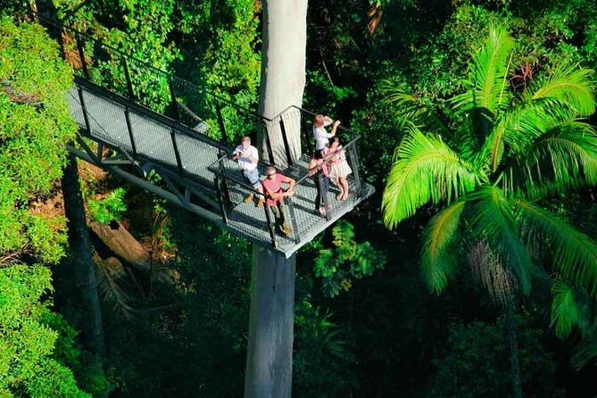 Tamborine Rainforest Skywalk + Hop on Hop off Bus - What this Tamborine Mountain day is really offering