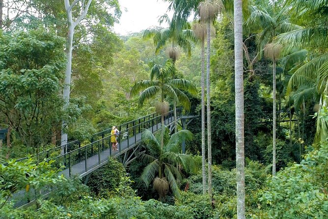 Tamborine Rainforest Skywalk + Hop on Hop off Bus - Tamborine Mountain, views, and local stops