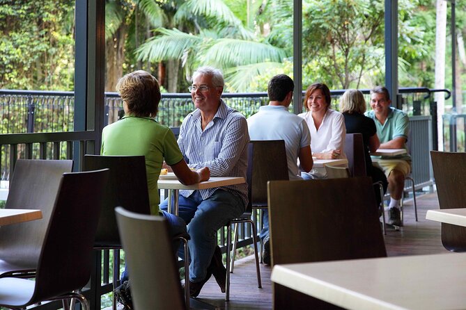 Tamborine Rainforest Skywalk + Hop on Hop off Bus - Lunch, Gallery Walk, and the cost of a free afternoon