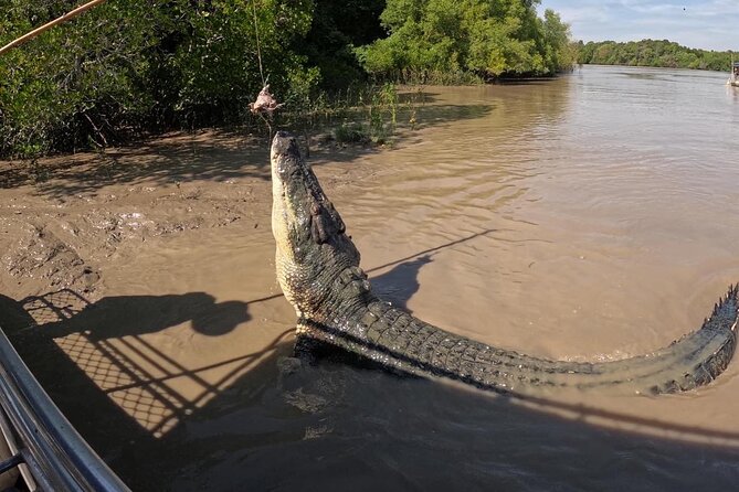 The Croc Bus to the Famous Jumping Crocodile Cruise - The Adelaide River jumping crocodile cruise