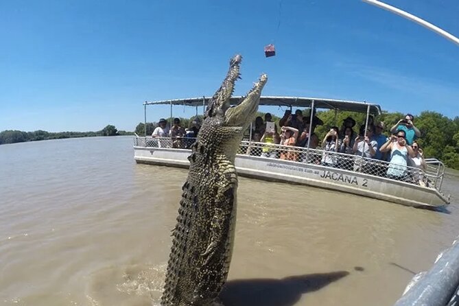 The Croc Bus to the Famous Jumping Crocodile Cruise - Humpty Doo and the boxing crocodile