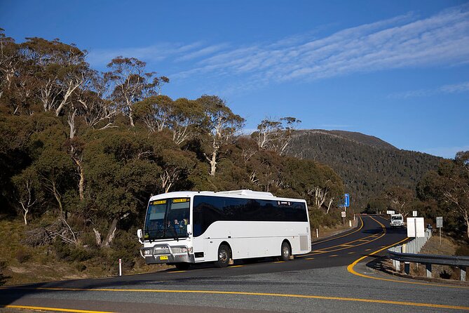 Thredbo or Perisher Bus Trip from Canberra - Why this Canberra snow bus makes sense