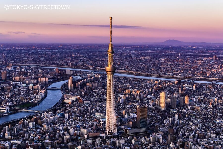 Tokyo: 1 Day Bus Tour with Meiji-Jingu,Odaiba,lunch&Skytree - Why this tour works for a first Tokyo visit