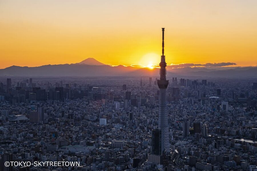 Tokyo: 1 Day Bus Tour with Meiji-Jingu,Odaiba,lunch&Skytree - The Imperial Palace Plaza offers a quick photo stop