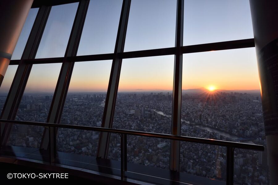 Tokyo: 1 Day Bus Tour with Meiji-Jingu,Odaiba,lunch&Skytree - Odaiba brings in Tokyo’s modern side