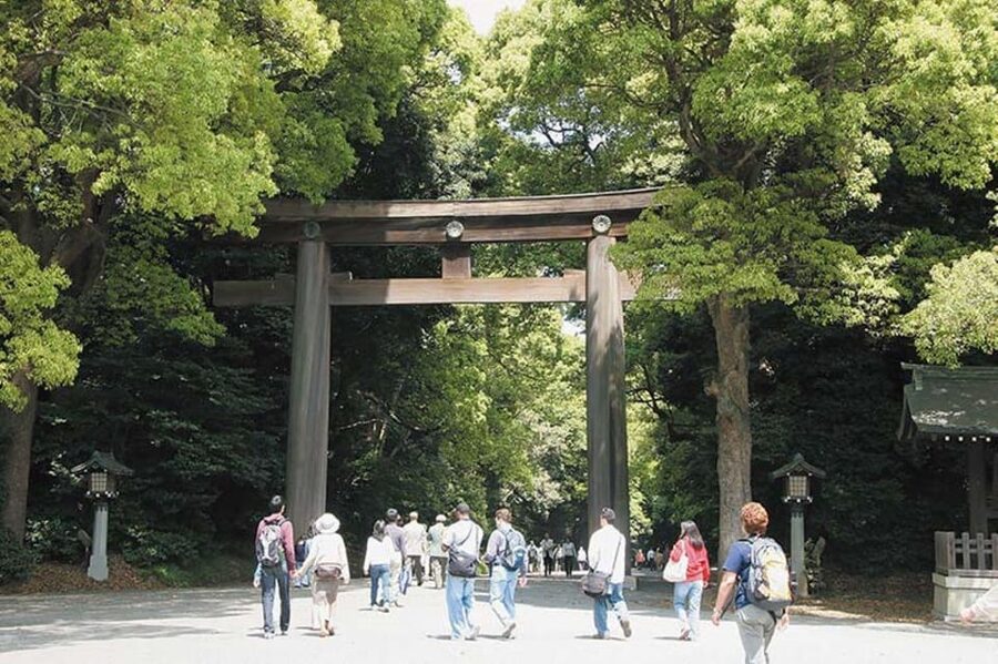 Tokyo: 1 Day Bus Tour with Meiji-Jingu,Odaiba,lunch&Skytree - The guides are the strongest part