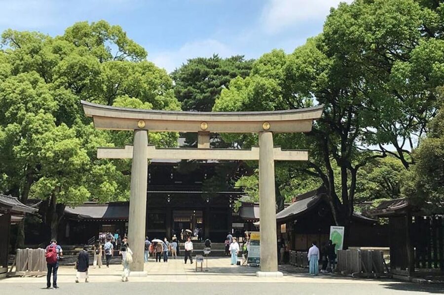 Tokyo: 1 Day Bus Tour with Meiji-Jingu,Odaiba,lunch&Skytree - Comfort, accessibility, and the pace