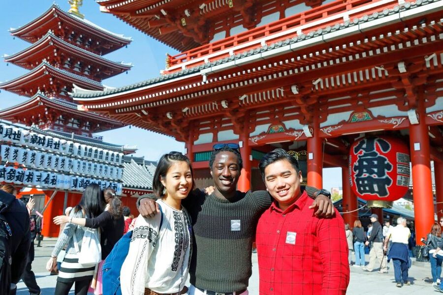 Tokyo: A Half-Day Trip Bus Tour in the Morning - Should you book this Tokyo half-day tour?