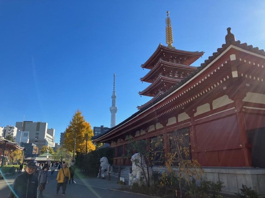 Tokyo: A Half-Day Trip Bus Tour in the Morning - Who gets the most value from $40