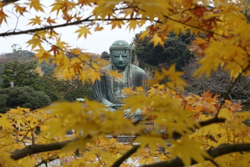 Tokyo: Kamakura & Enoshima Day Trip including Temple Tickets - What the $58 price really covers