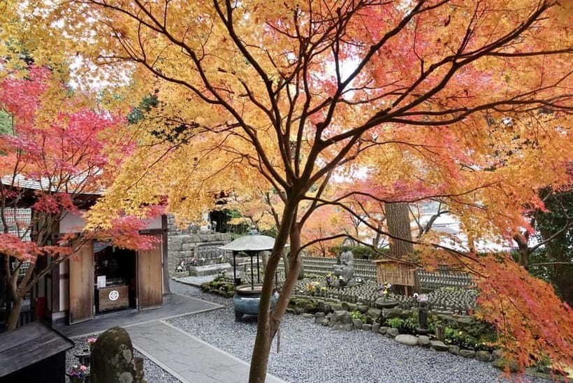 Tokyo: Kamakura & Enoshima Day Trip including Temple Tickets - Why Kamakura makes a good break from Tokyo