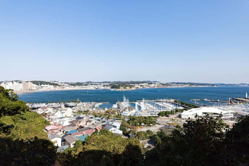 Tokyo: Kamakura & Enoshima Day Trip including Temple Tickets - Hasedera combines flowers, views, and small details