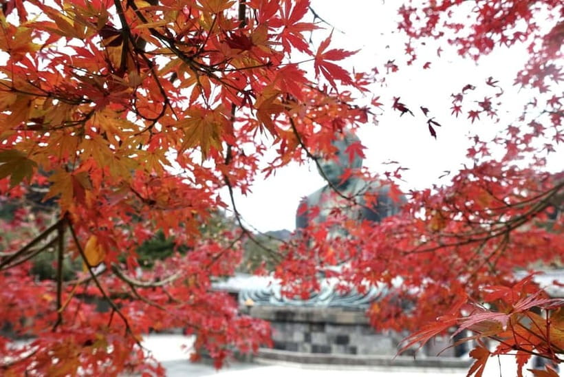 Tokyo: Kamakura & Enoshima Day Trip including Temple Tickets - Enoshima brings the sea into the picture