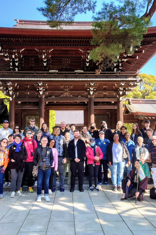 Tokyo: Meiji Shrine, Asakusa, Skytree Bus Tour and Cruise - Odaiba and the possible Tokyo Bay cruise
