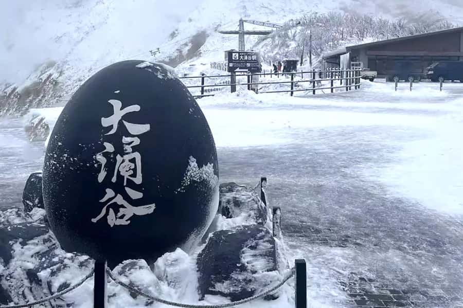 Tokyo: Mount Fuji Views and KABA Amphibious Bus Day Tour - The Shiratori Lake Swan Boat alternative