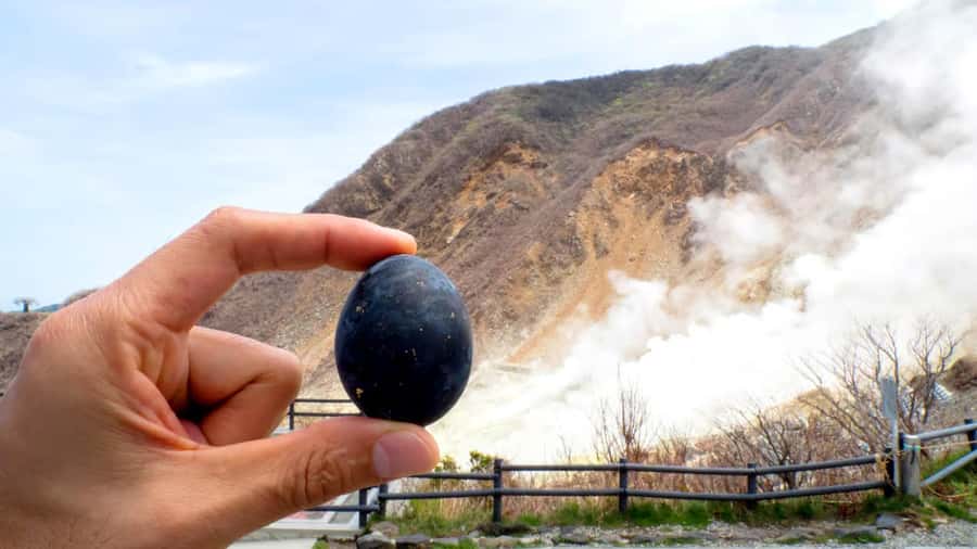 Tokyo: Mount Fuji Views and KABA Amphibious Bus Day Tour - What the guide service is like