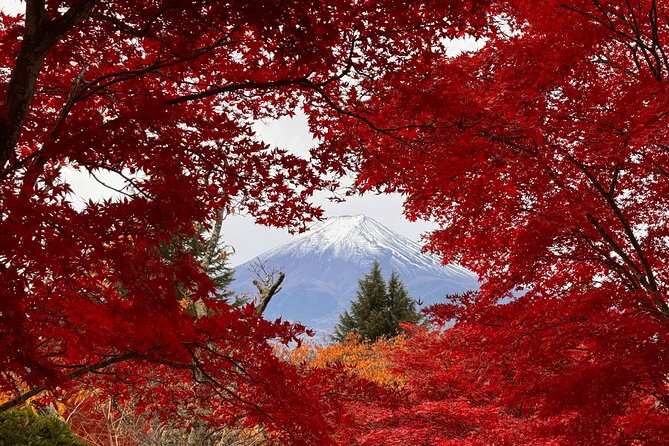 Tokyo: Mt.Fuji & Lake Kawaguchiko 1-Day Bus Tour w/Optional Lunch - Why this bus tour makes sense from Tokyo