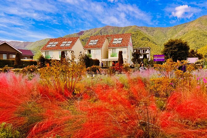 Tokyo: Mt.Fuji & Lake Kawaguchiko 1-Day Bus Tour w/Optional Lunch - The drawbacks you should plan around